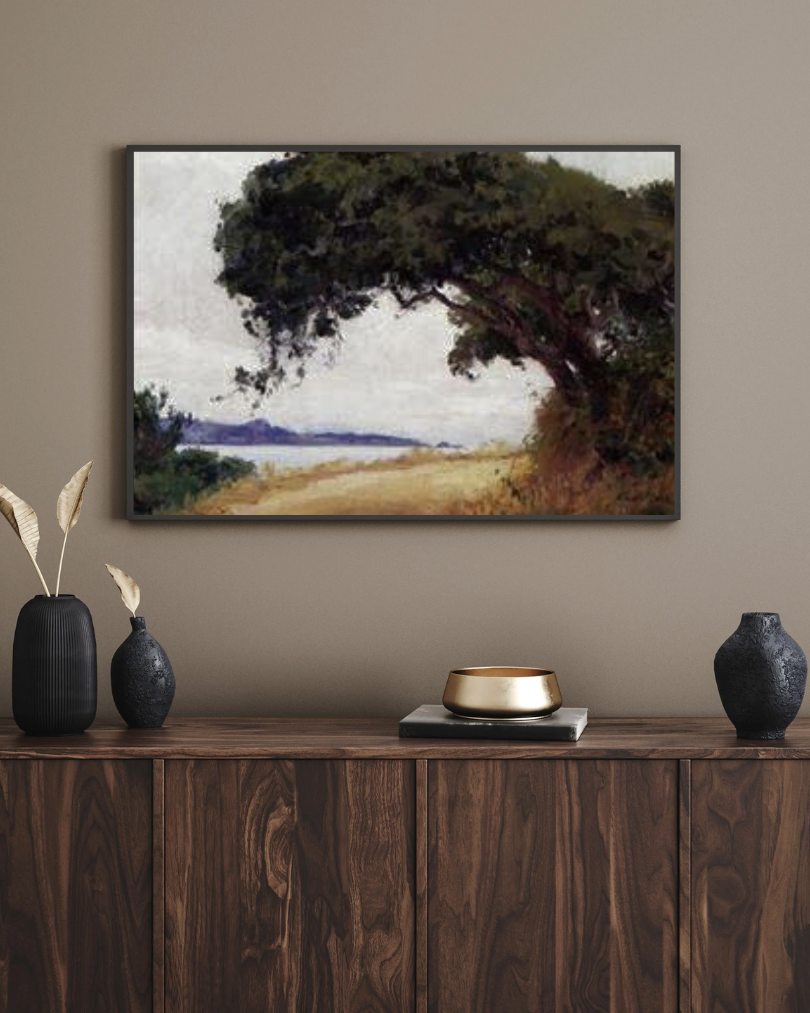 Centuries-old oak tree with wide branches, symbolizing strength, roots, and building a financial legacy with confidence, clarity, and control.
